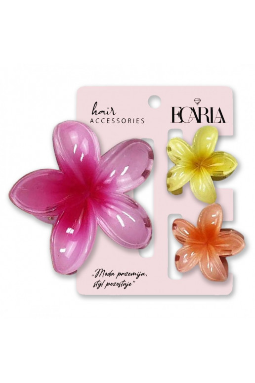 Plaukų segtukų rinkinysklamer trys viename ,  ombre XL + 2 vnt. mini spinek SP415