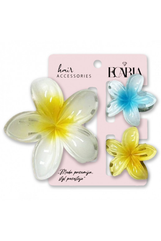 Plaukų segtukų rinkinysklamer trys viename ,  ombre XL + 2 vnt. mini spinek SP416