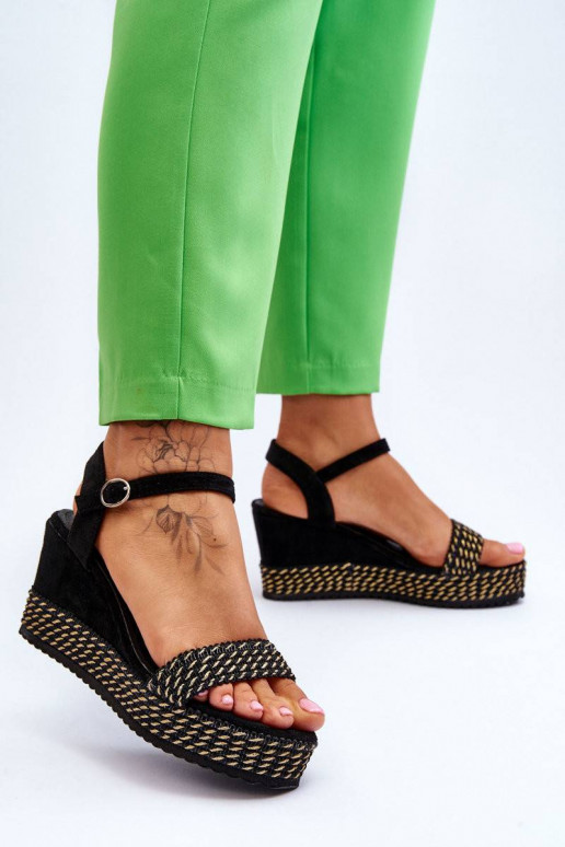 Klasikinio modelio platforminės...