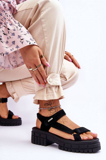 Patogios Zomšinės basutės... 2