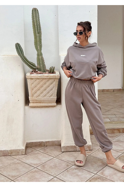 Icon - džemperis su gobtuvu Icon - džemperis su gobtuvu