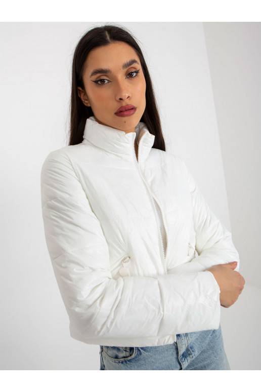 Trumpa pereinamojo laikotarpio...