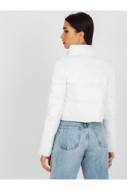 Trumpa pereinamojo laikotarpio...