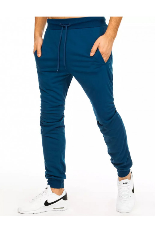 Vyriškos mėlynos sportinės kelnės