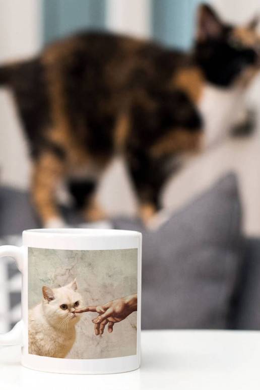 Keramikinis puodelis Kitty Michelangelo
